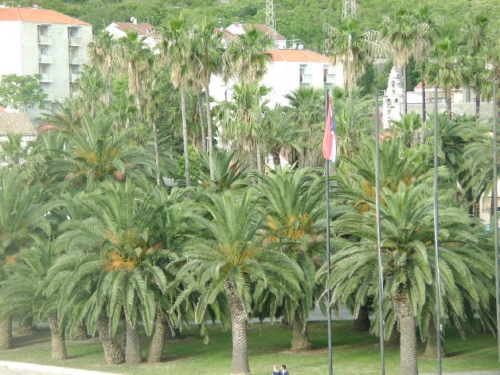 Apartments Rak Vis Exterior photo